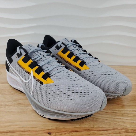 mens pegasus 38